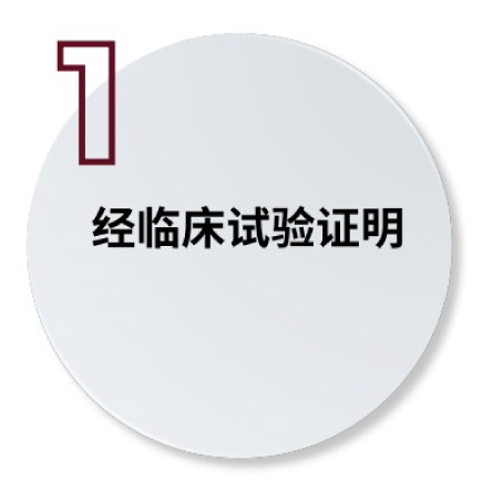 principle-1 principle-1