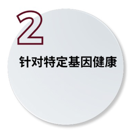 principle-2 principle-2