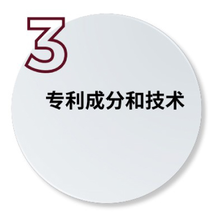 principle-3 principle-3